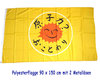Bandera de la  "Nucleare? No Gracias" (japonés)