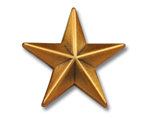 "Stjerne" broche guld